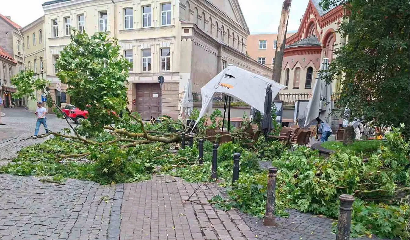 Po audros Vilniuje – šimtai pranešimų: aiškėja tikrasis stichijos mastas
