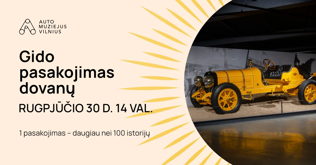 Visite guidée offerte, événement à Vilnius