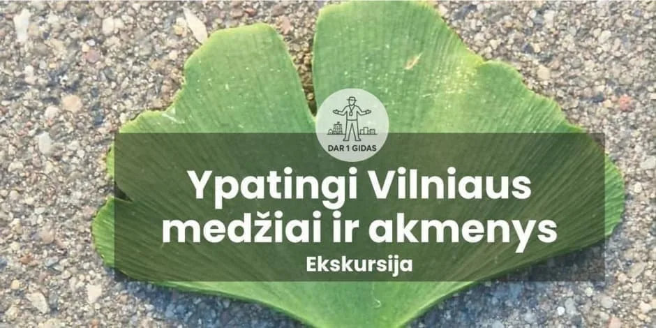 Wycieczka: Wyjątkowe drzewa i kamienie Wilna, wydarzenie w Wilnie