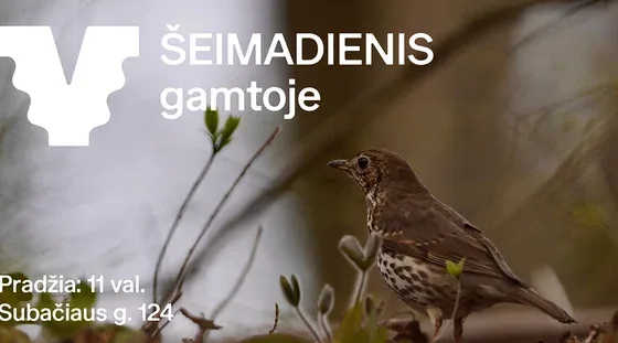 Journée en famille dans la nature, événement à Vilnius