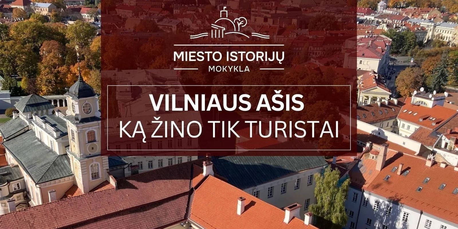 Vilniaus ašis (MIM)
