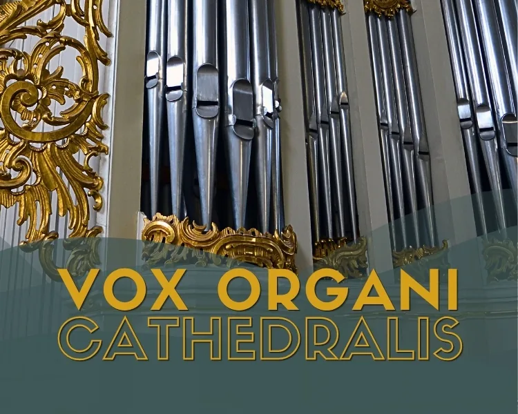 Vox organi Cathedralis 2026, événement à Vilnius