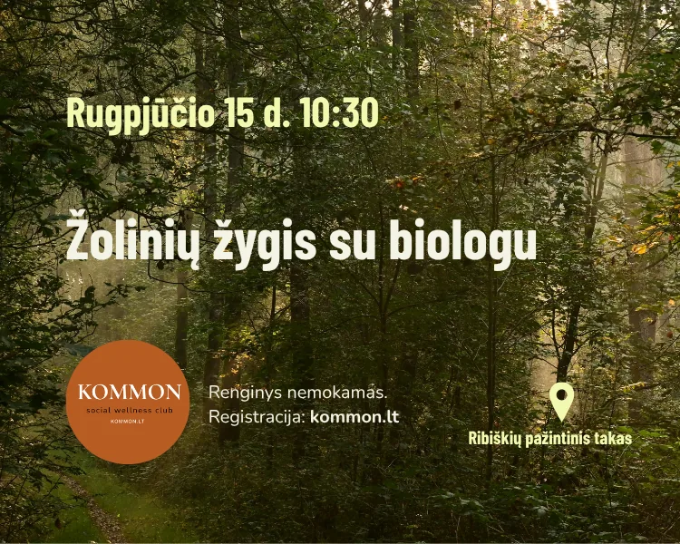 Žolinė (Assumption Day) Hike in Ribiškės with Biologist Martynas Balsys, event in Vilnius