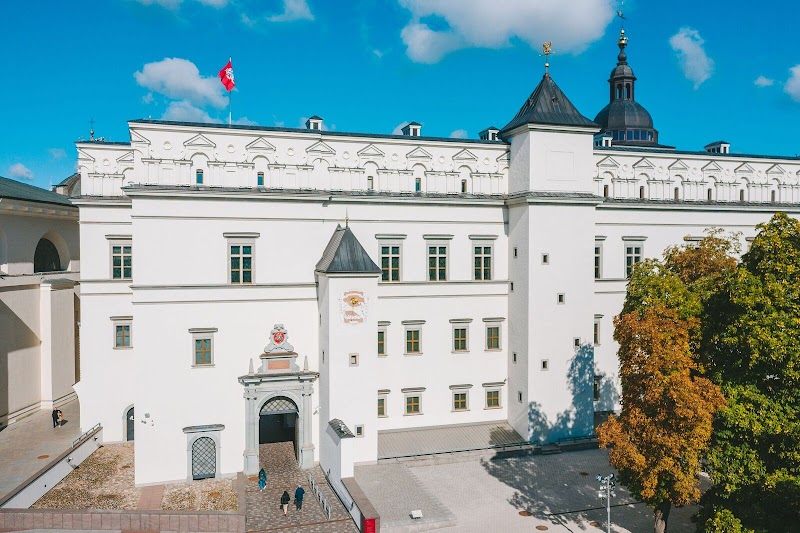 Palace of the Grand Dukes of Lithuania – Sehenswürdigkeit in Vilnius — photo 2