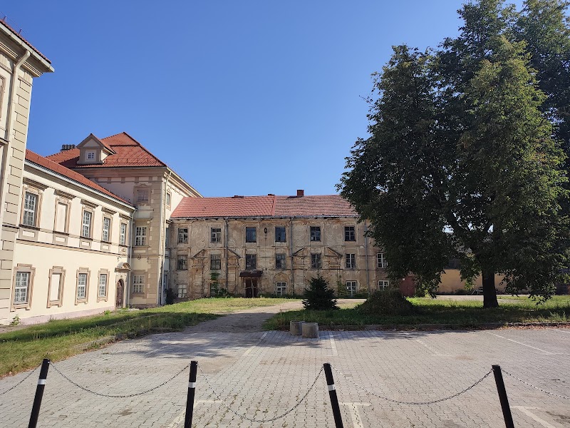 Kunstmuseum im Radvila-Palast – Barockpalast in der Vilniuser Altstadt — photo 2