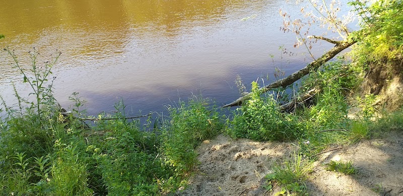 Park Vingis, atrakcja w Wilnie