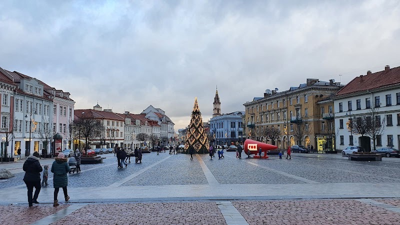 Rynek Ratuszowy, atrakcja w Wilnie