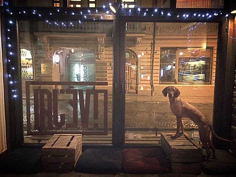 ŠMC kavinė / Vėjai, bar à Vilnius