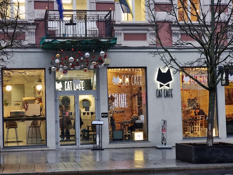 Cat Cafe, restaurant in Vilnius