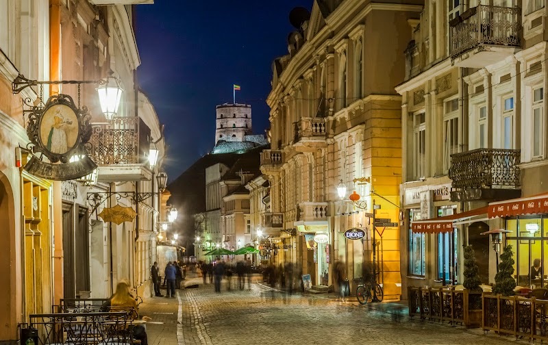 Vilnius City Hotel, viešbutis Vilniuje