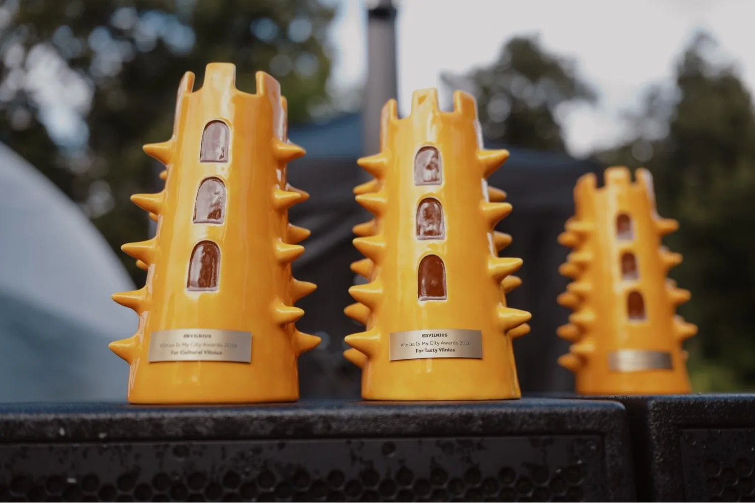 „Vilnius Is My City Awards“ statulėlės